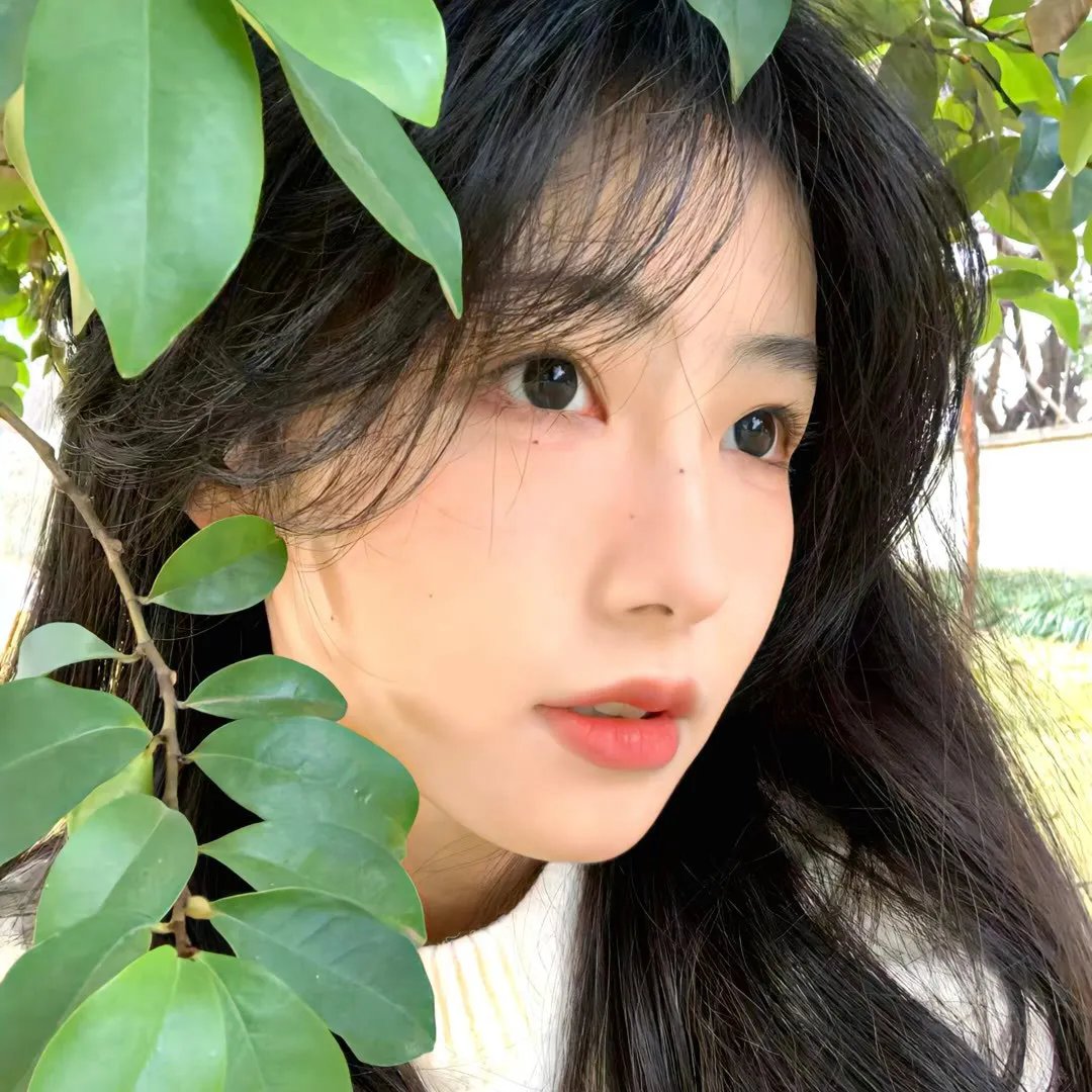 加州玩偶